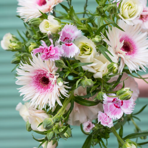 Blumen Mitzi: das besondere Blumenabo in Wien